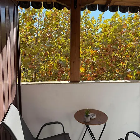 Urban Oazis -central & Steps To Attractions Appartamento