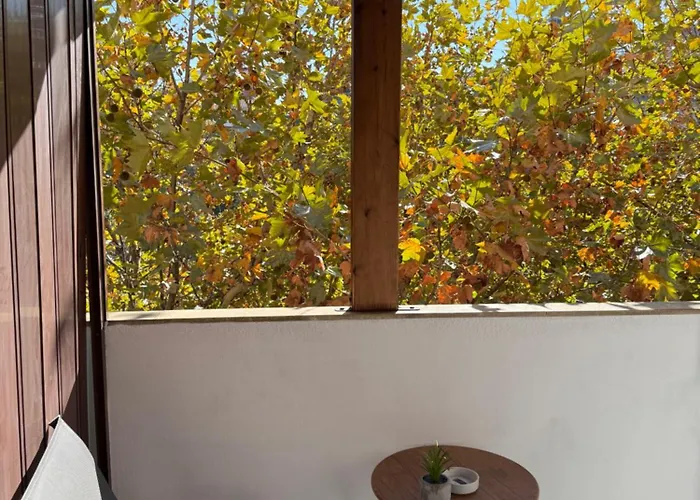 Urban Oazis -central & Steps To Attractions 公寓