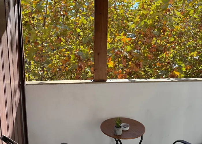 公寓 Urban Oazis -central & Steps To Attractions 地拉那